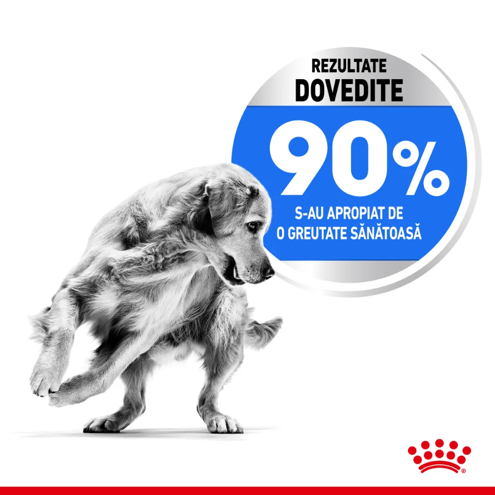 ROYAL CANIN Maxi Light Weight Care Adult, hrană uscată câine, limitarea creșterii în greutate, 12kg [4]