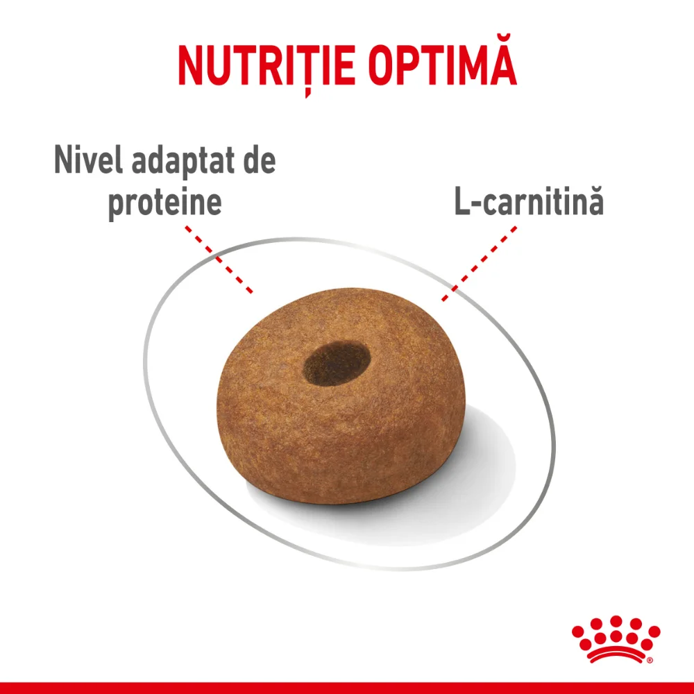 ROYAL CANIN Maxi Light Weight Care Adult, hrană uscată câine, limitarea creșterii în greutate, 12kg [5]