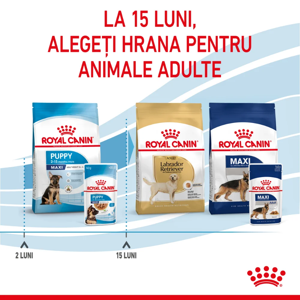 ROYAL CANIN Maxi Puppy, hrană umedă câine junior (in sos), 10x140g [11]