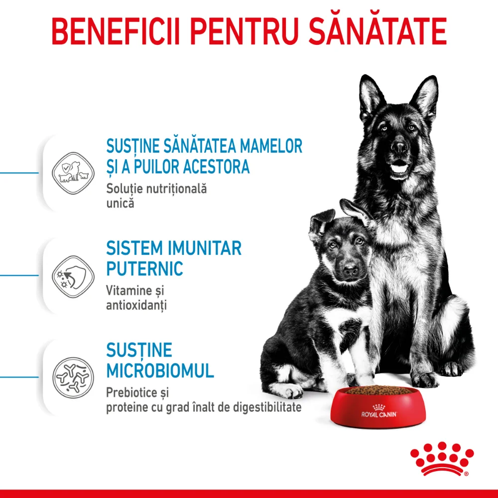 Royal Canin Maxi Starter Mother & BabyDog, mama si puiul, hrană uscată câine, 15kg [6]