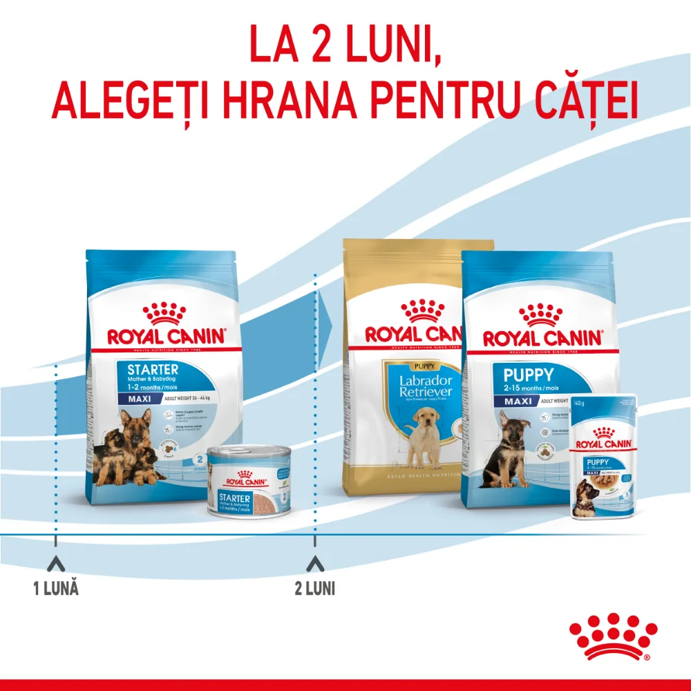 Royal Canin Maxi Starter Mother & BabyDog, mama si puiul, hrană uscată câine, 15kg [11]