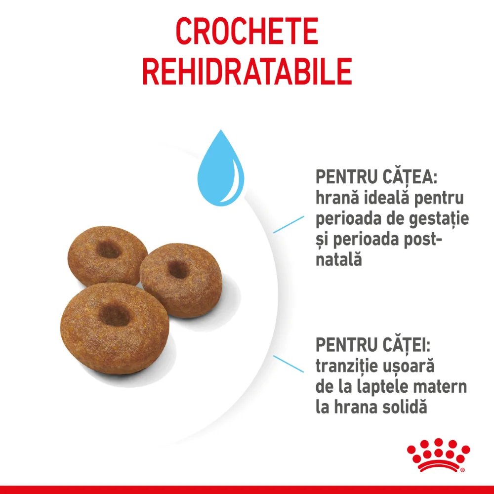 Royal Canin Maxi Starter Mother & BabyDog, mama si puiul, hrană uscată câine, 15kg [5]