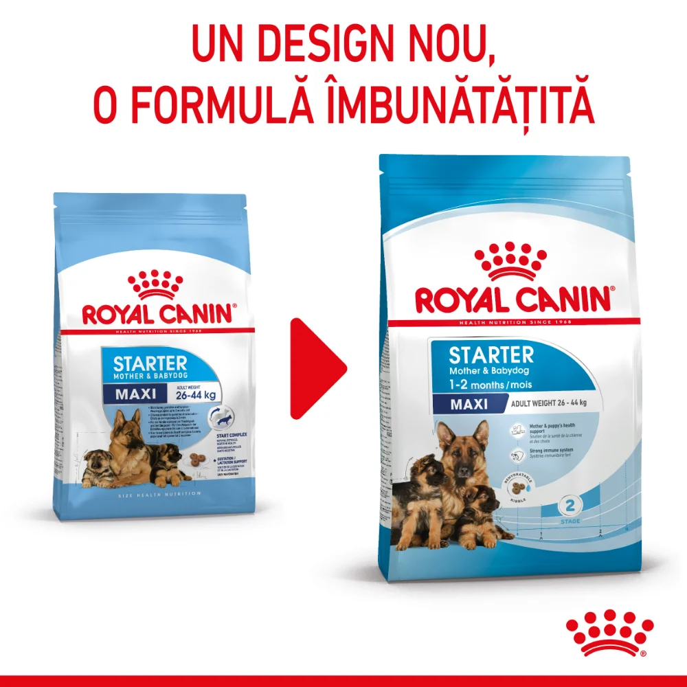 Royal Canin Maxi Starter Mother & BabyDog, mama si puiul, hrană uscată câine, 15kg [3]