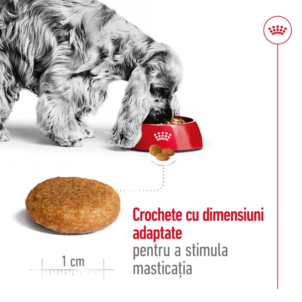 ROYAL CANIN Medium Adult, hrană uscată câine, 4kg [6]