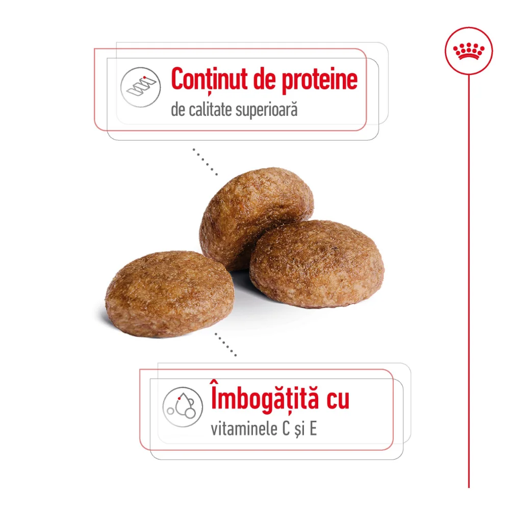 ROYAL CANIN Medium Adult 7+, hrană uscată câine, 4kg [5]
