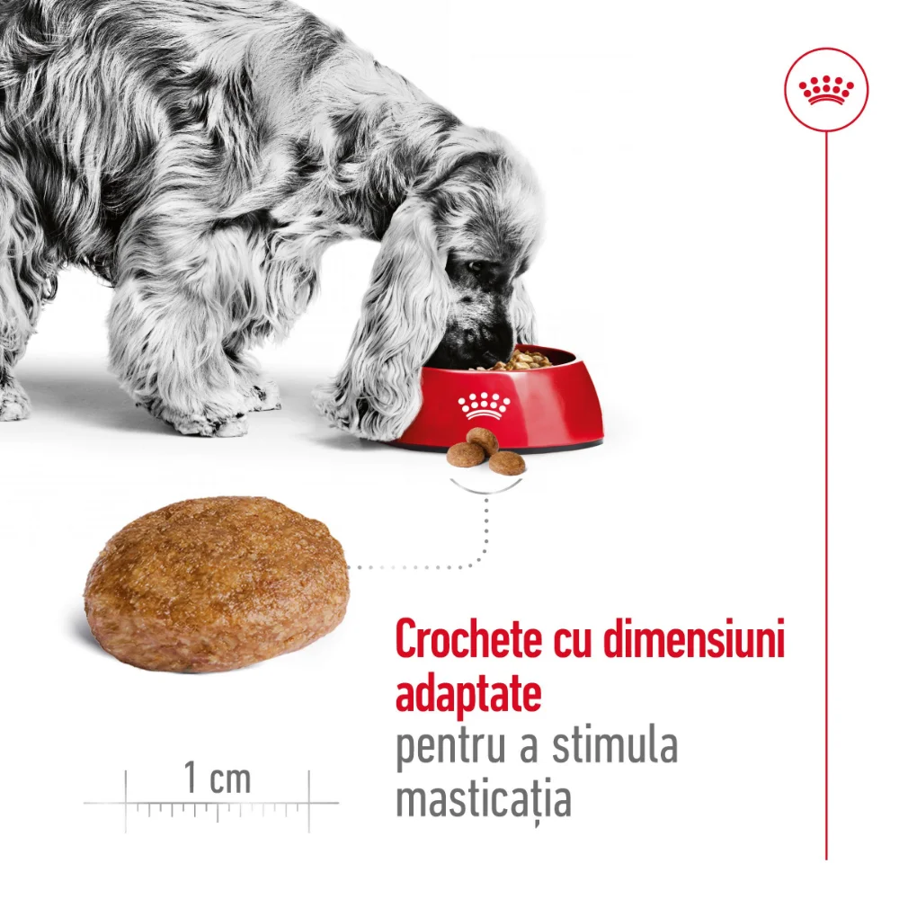 ROYAL CANIN Medium Adult 7+, hrană uscată câine, 4kg [6]