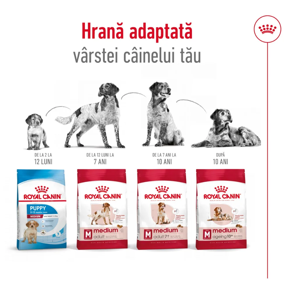 ROYAL CANIN Medium Adult 7+, hrană uscată câine, 4kg [7]