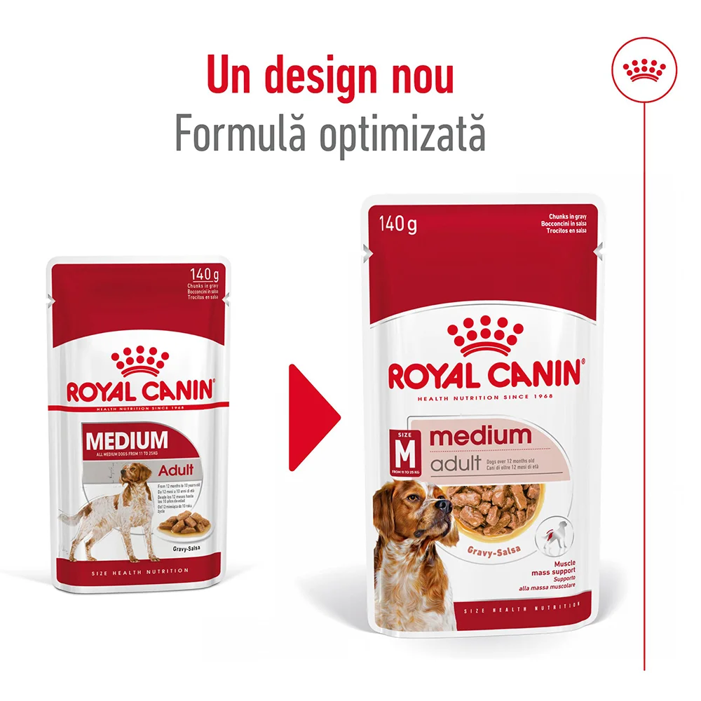 ROYAL CANIN Medium Adult, hrană umedă câine (în sos), 10x140g [4]