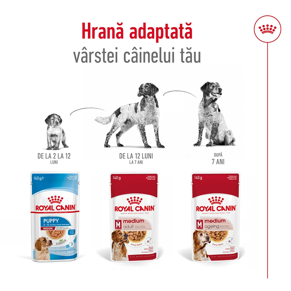 ROYAL CANIN Medium Adult, hrană umedă câine (în sos), 10x140g [9]