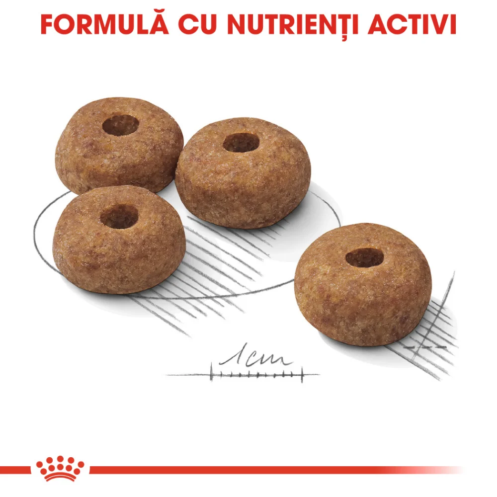 ROYAL CANIN Medium Sterilised Adult, hrană uscată câine sterilizat, 12kg [5]