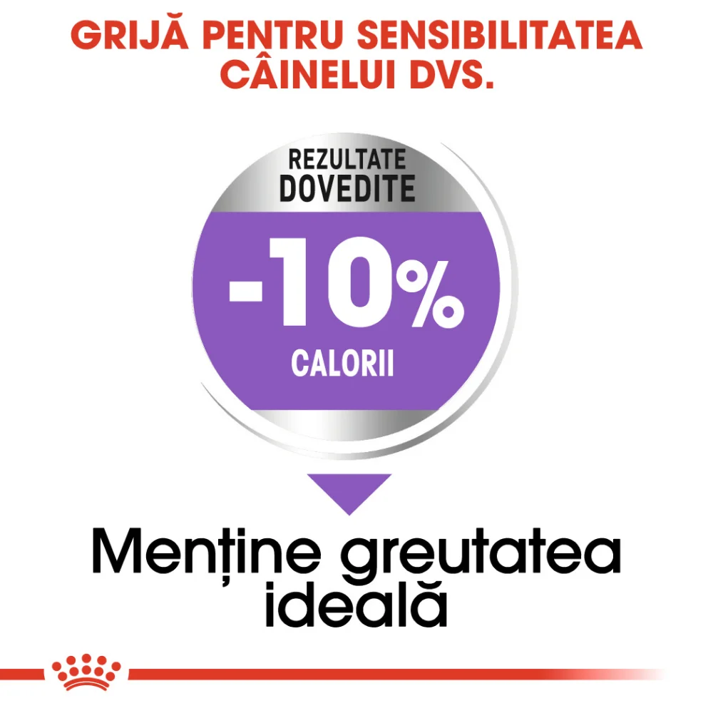 ROYAL CANIN Medium Sterilised Adult, hrană uscată câine sterilizat, 3kg [4]