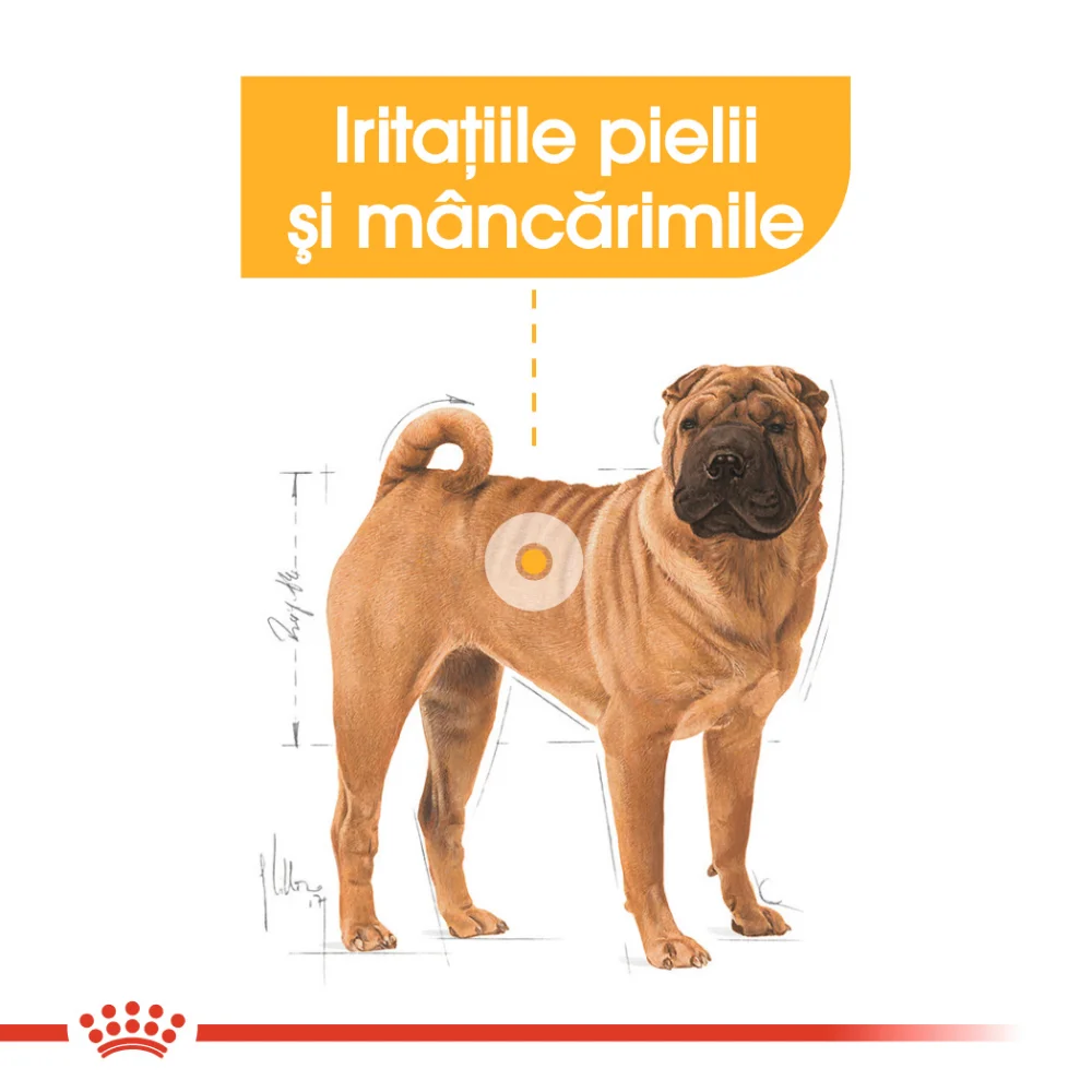 ROYAL CANIN Medium Dermacomfort, hrană uscată câine, prevenirea iritațiilor pielii, 3kg [6]