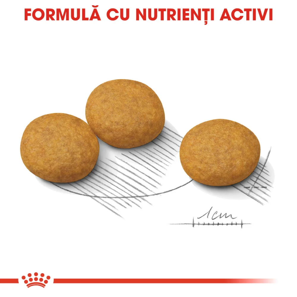 ROYAL CANIN Medium Dermacomfort, hrană uscată câine, prevenirea iritațiilor pielii, 3kg [5]