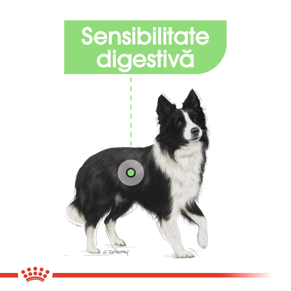 ROYAL CANIN Medium Digestive Care, hrană uscată câine, confort digestiv, 3kg [6]