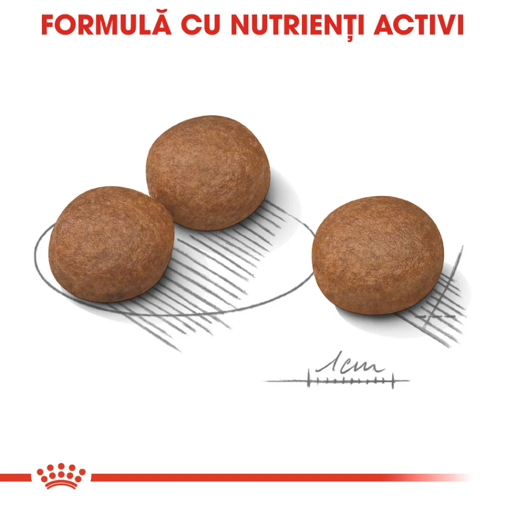 ROYAL CANIN Medium Digestive Care, hrană uscată câine, confort digestiv, 3kg [5]