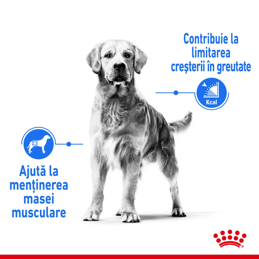 ROYAL CANIN Medium Light Weight Care Adult, hrană uscată câine, limitarea creșterii în greutate, 3kg [4]