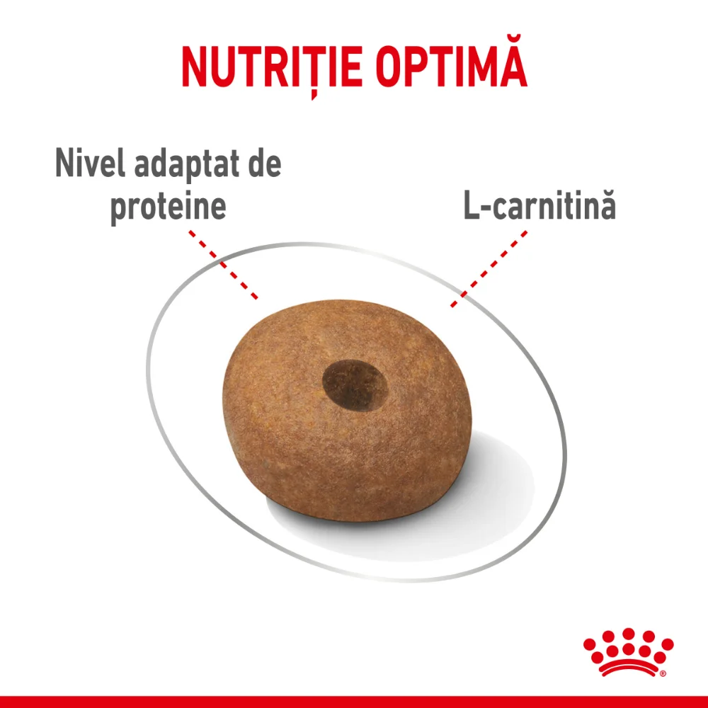 ROYAL CANIN Medium Light Weight Care Adult, hrană uscată câine, limitarea creșterii în greutate, 3kg [3]