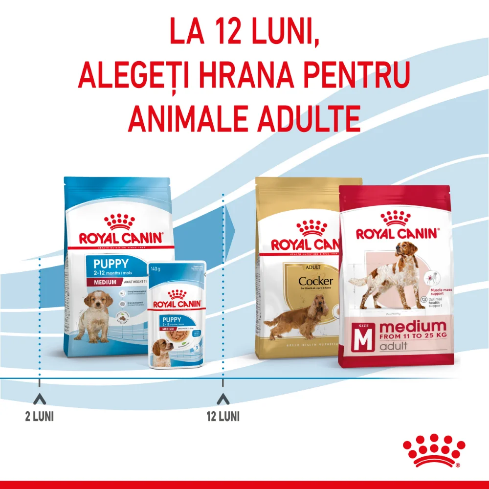 ROYAL CANIN Medium Puppy, hrană uscată câine junior, 4kg [10]