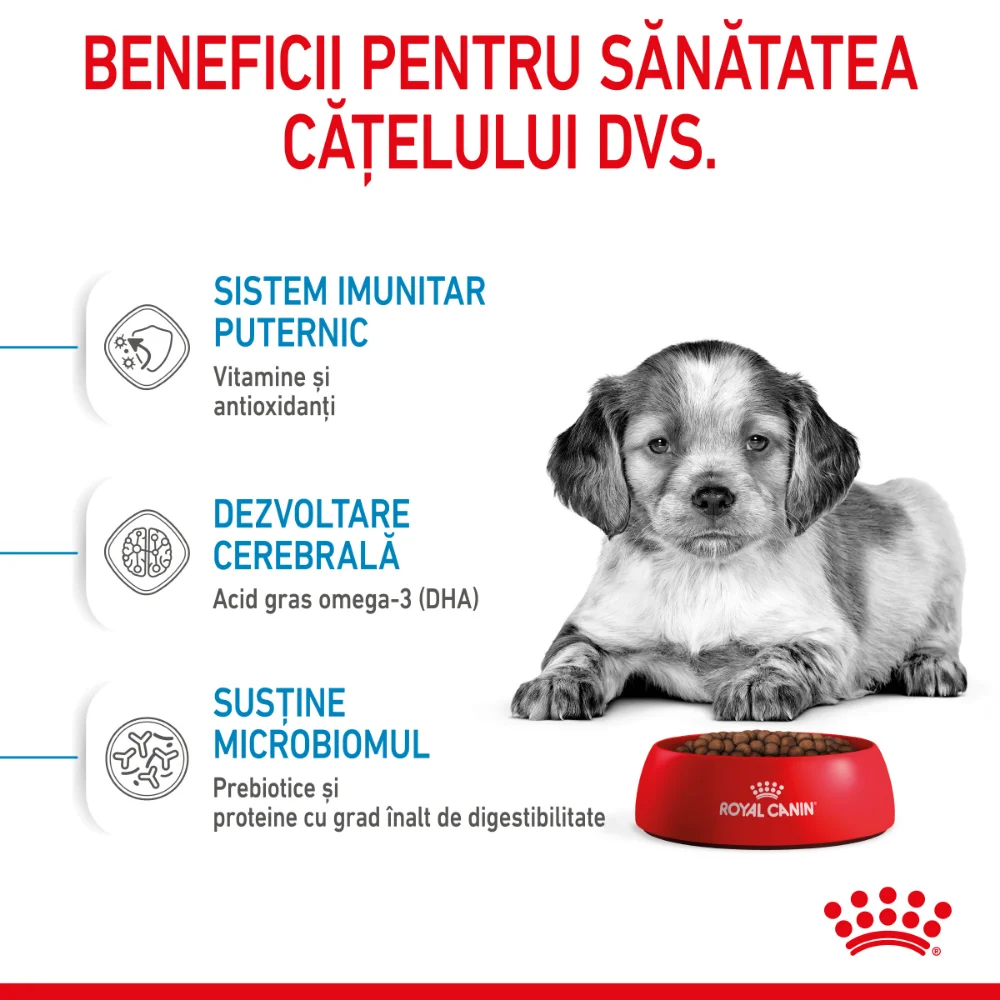 ROYAL CANIN Medium Puppy, hrană uscată câine junior, 4kg [6]
