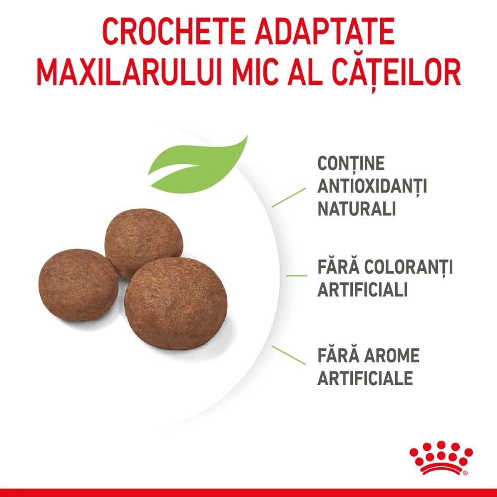 ROYAL CANIN Medium Puppy, hrană uscată câine junior, 4kg [5]