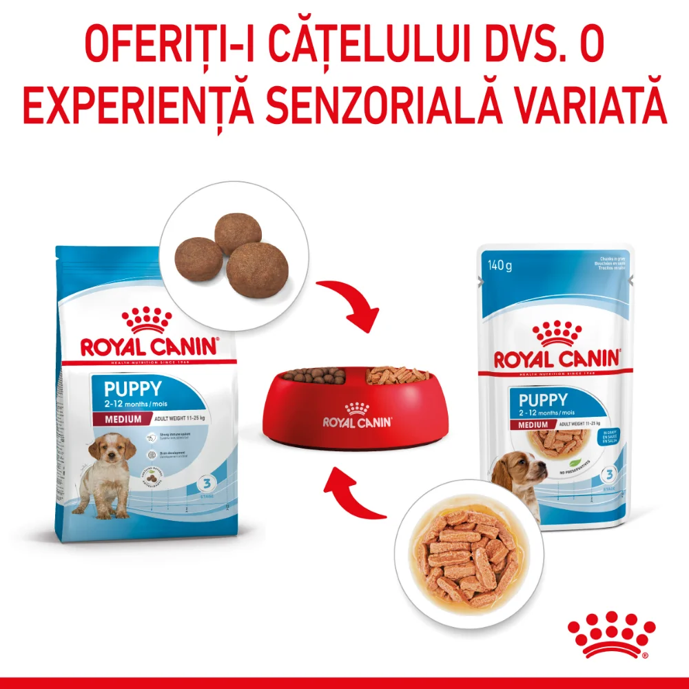 ROYAL CANIN Medium Puppy, hrană umedă câine junior (în sos), 10x140g [7]