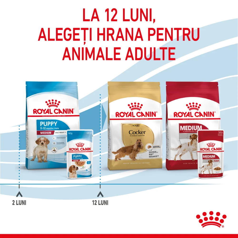 ROYAL CANIN Medium Puppy, hrană umedă câine junior (în sos), 10x140g [11]