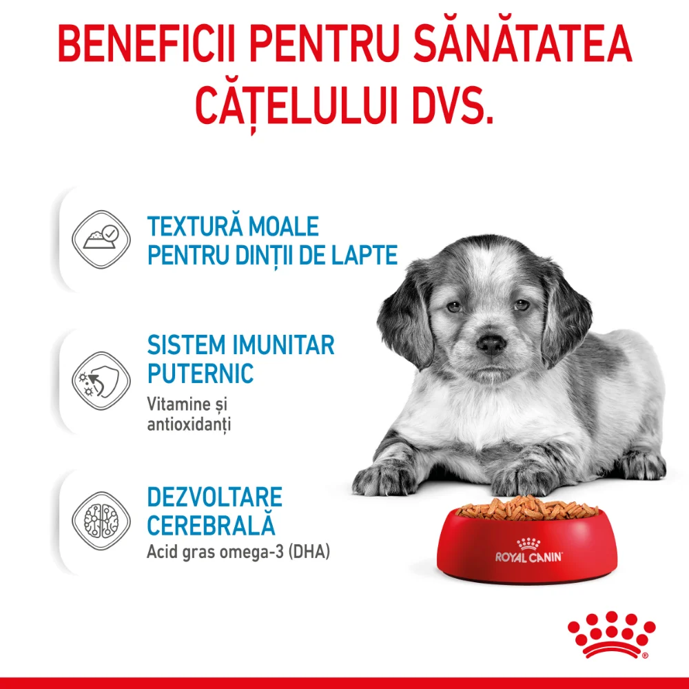 ROYAL CANIN Medium Puppy, hrană umedă câine junior (în sos), 10x140g [6]