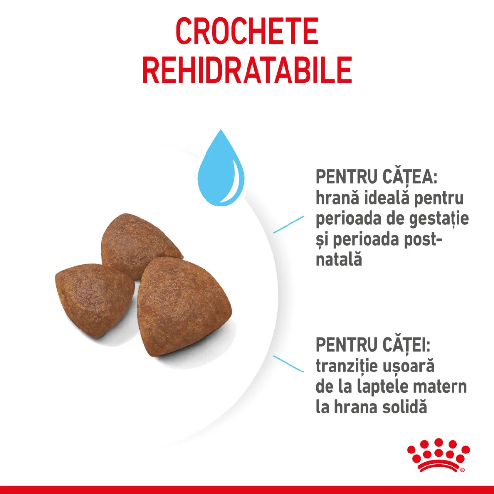 ROYAL CANIN Medium Starter Mother & Babydog, mama si puiul, hrană uscată câine, 4kg [5]