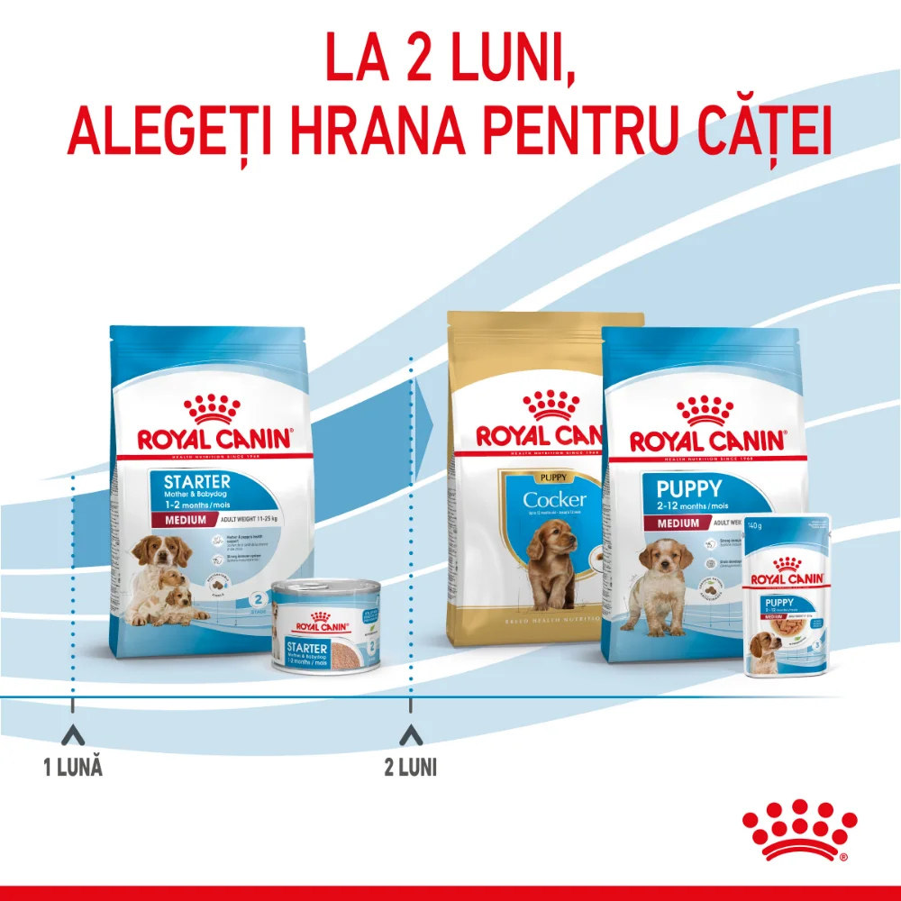 ROYAL CANIN Medium Starter Mother & Babydog, mama si puiul, hrană uscată câine, 4kg [10]