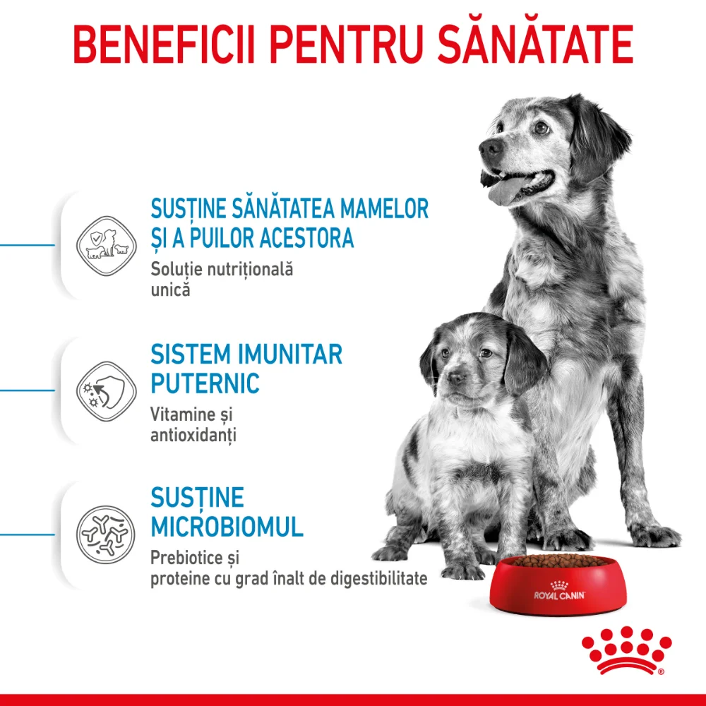 ROYAL CANIN Medium Starter Mother & Babydog, mama si puiul, hrană uscată câine, 4kg [6]