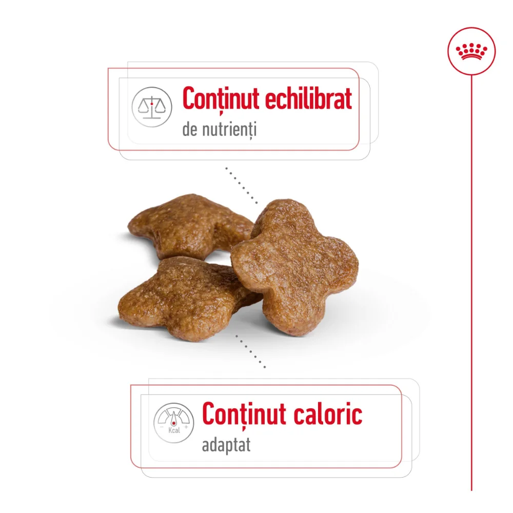 ROYAL CANIN Mini Adult 8+, hrană uscată câine, 2kg [5]
