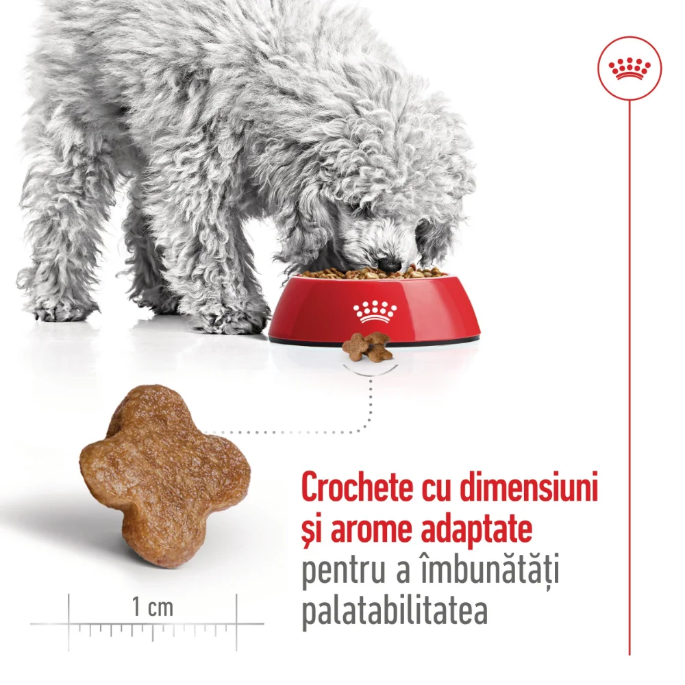 ROYAL CANIN Mini Adult 8+, hrană uscată câine, 2kg [6]