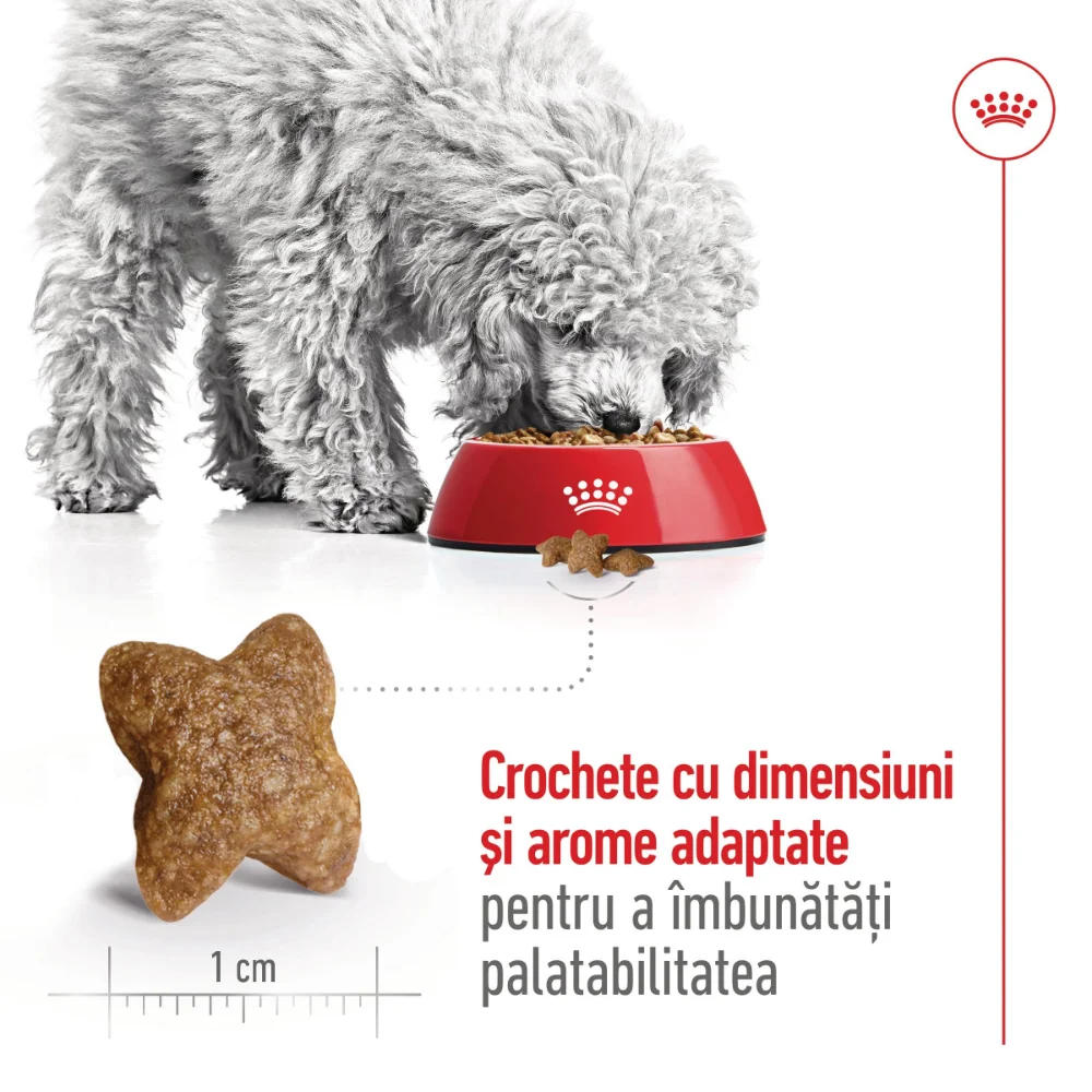 ROYAL CANIN Mini Adult, hrană uscată câine, 8kg [6]