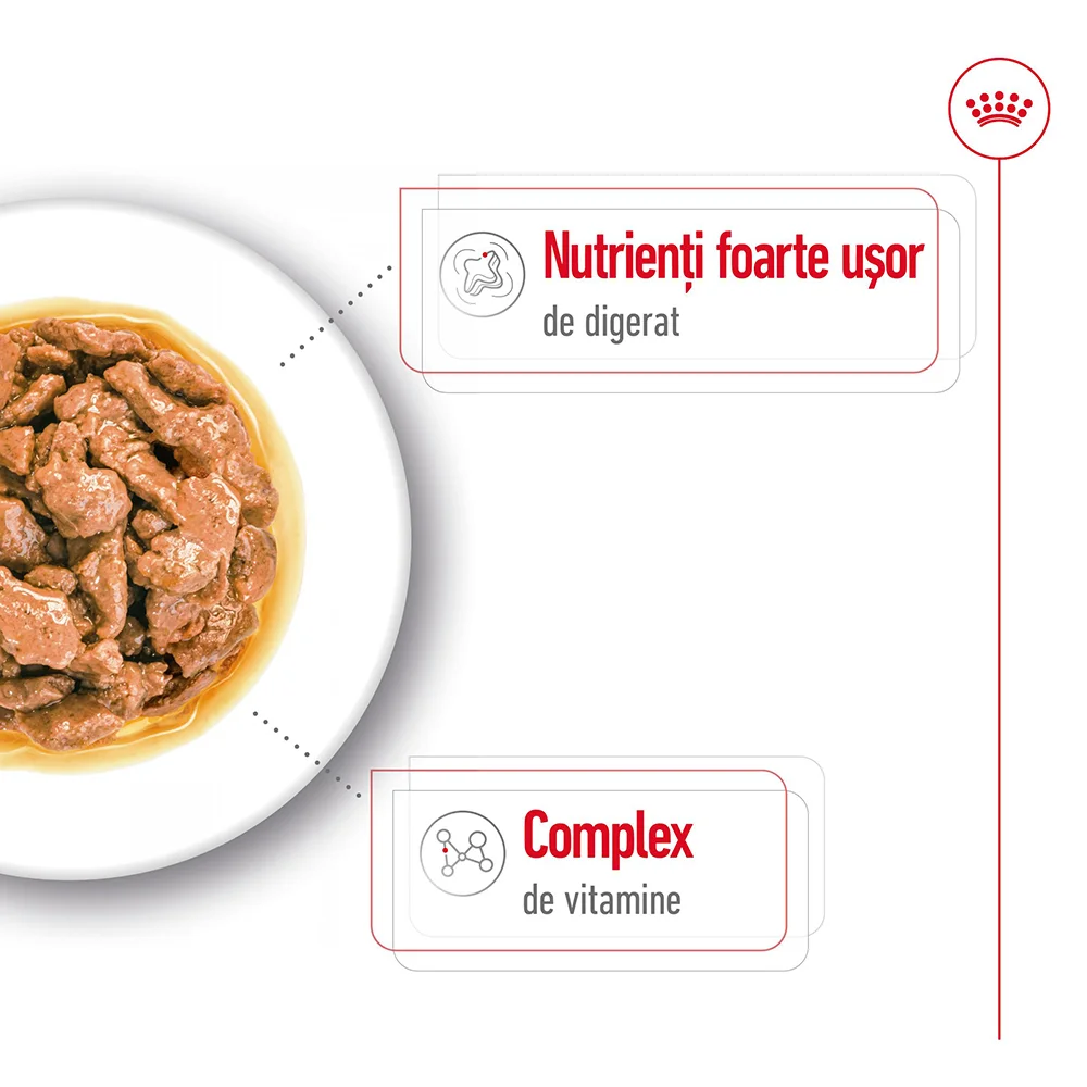 ROYAL CANIN Mini Adult, hrană umedă câine (în sos), 12x85g [5]