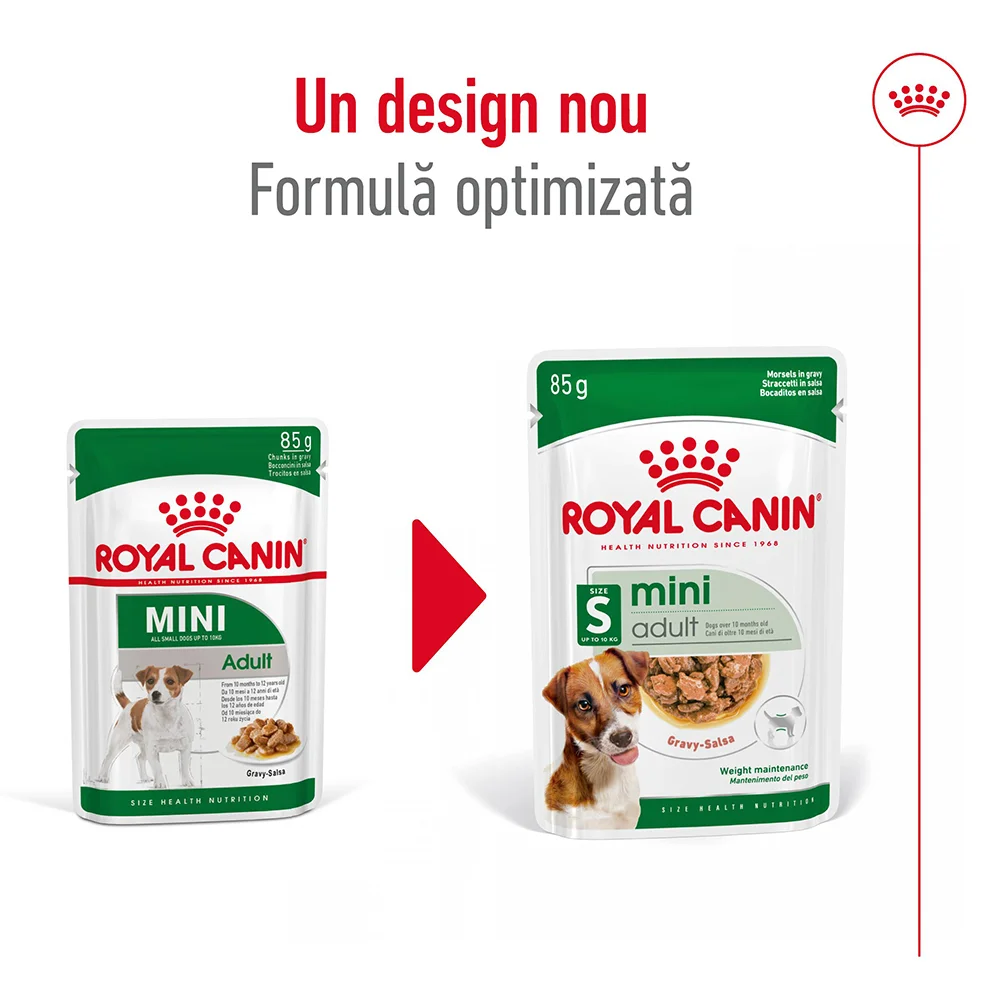 ROYAL CANIN Mini Adult, hrană umedă câine (în sos), 12x85g [4]
