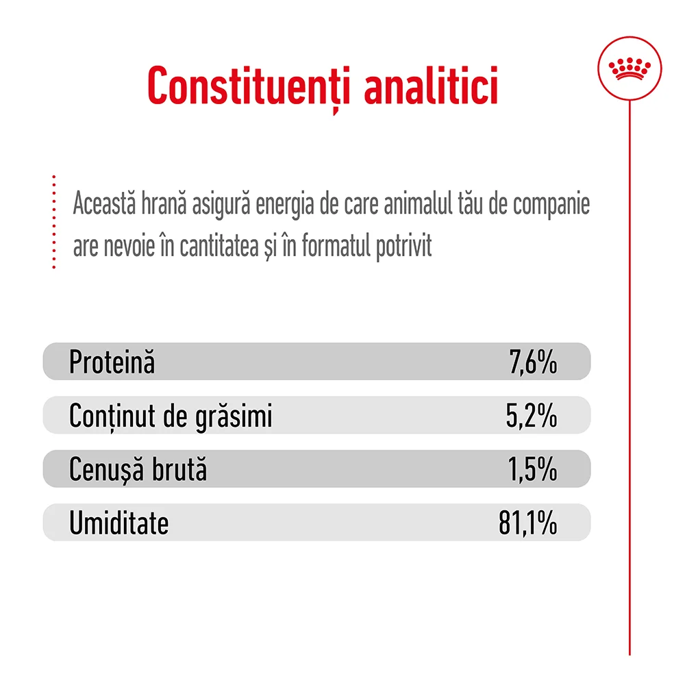 ROYAL CANIN Mini Adult, hrană umedă câine (în sos), 12x85g [7]
