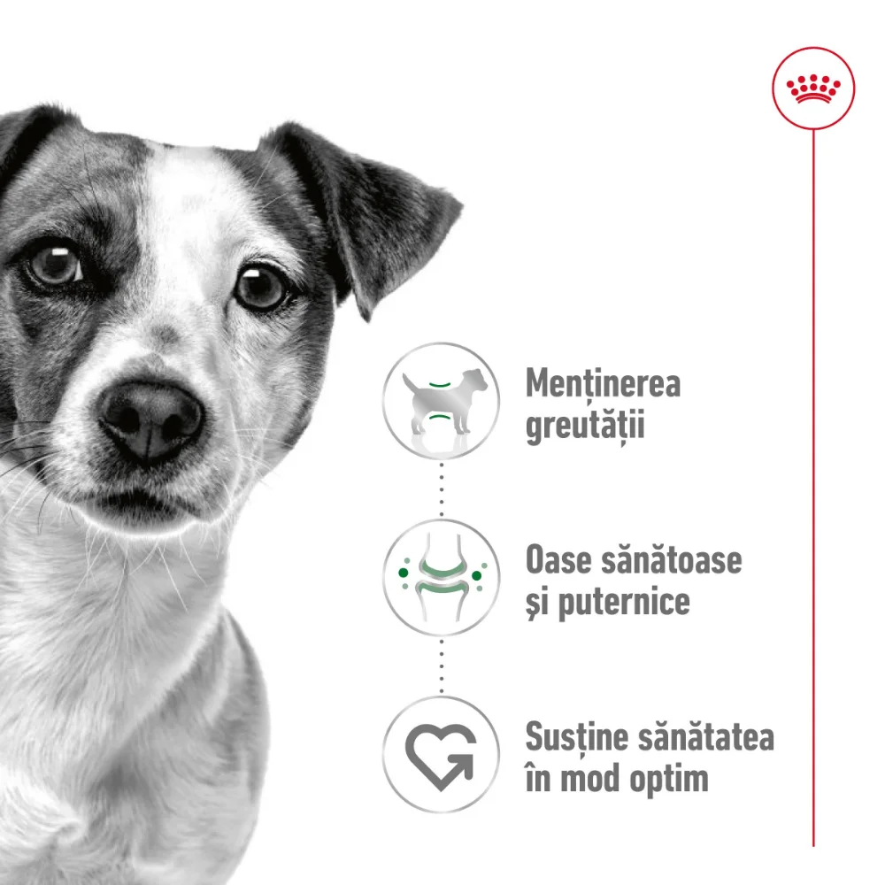 ROYAL CANIN Mini Adult, hrană uscată câine, 8kg [4]