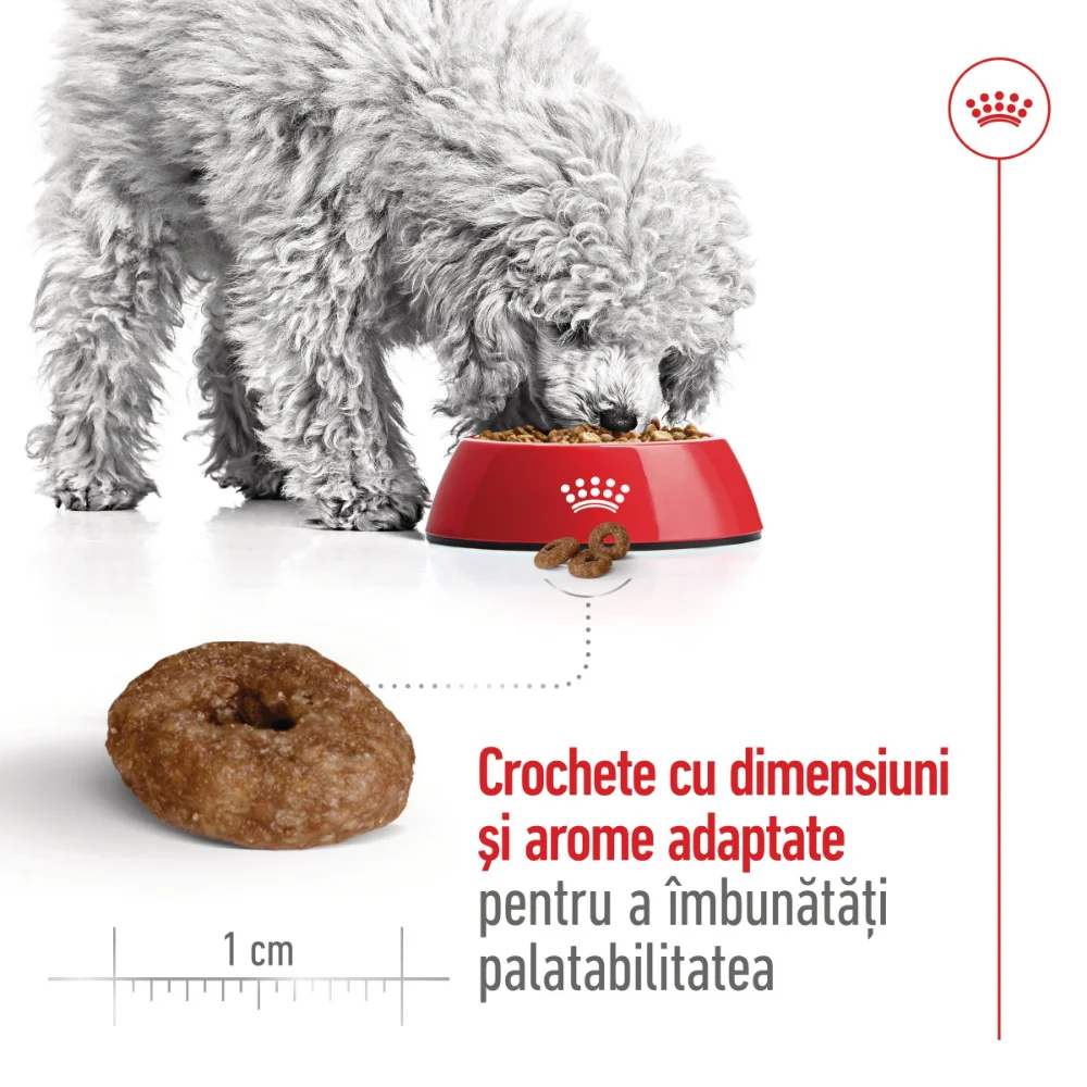 ROYAL CANIN Mini Ageing 12+, hrană uscată câine senior, 1,5kg [6]