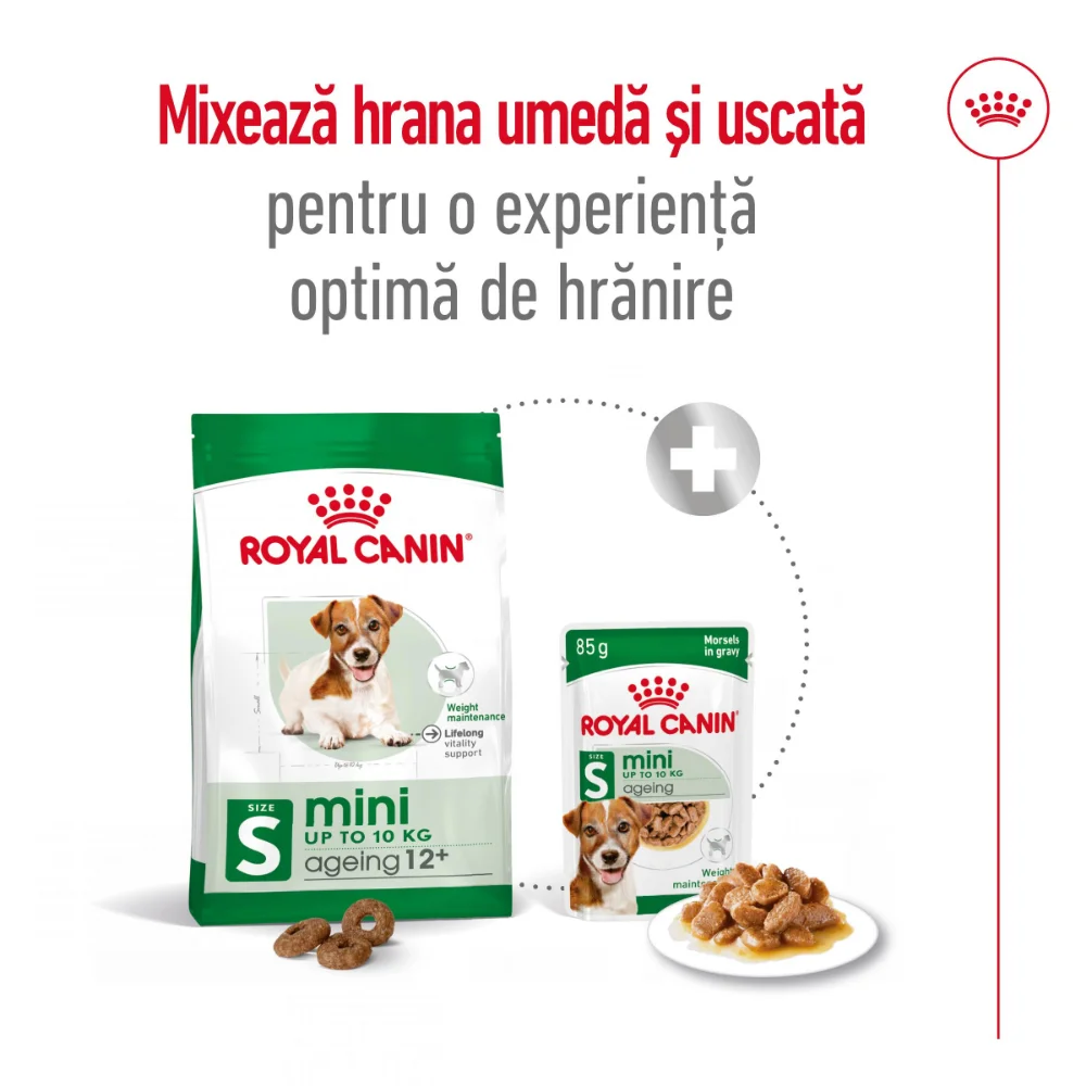 ROYAL CANIN Mini Ageing 12+, hrană uscată câine senior, 1,5kg [11]