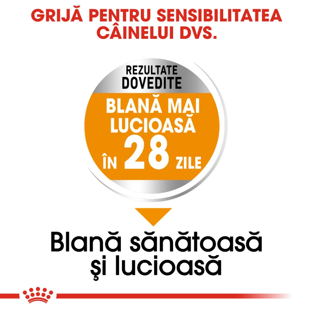 ROYAL CANIN Mini Coat Care Adult, hrană uscată câine, blana sănătoasă și lucioasă, 1kg [3]