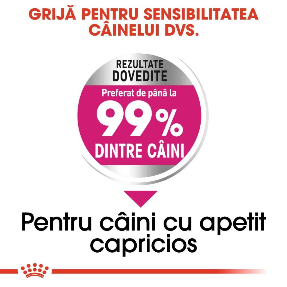 ROYAL CANIN Mini Exigent, hrană uscată câine, apetit capricios, 1kg [4]