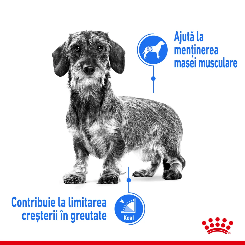 ROYAL CANIN Mini Light Weight Care Adult, hrană uscată câine, limitarea creșterii în greutate, 1kg [5]