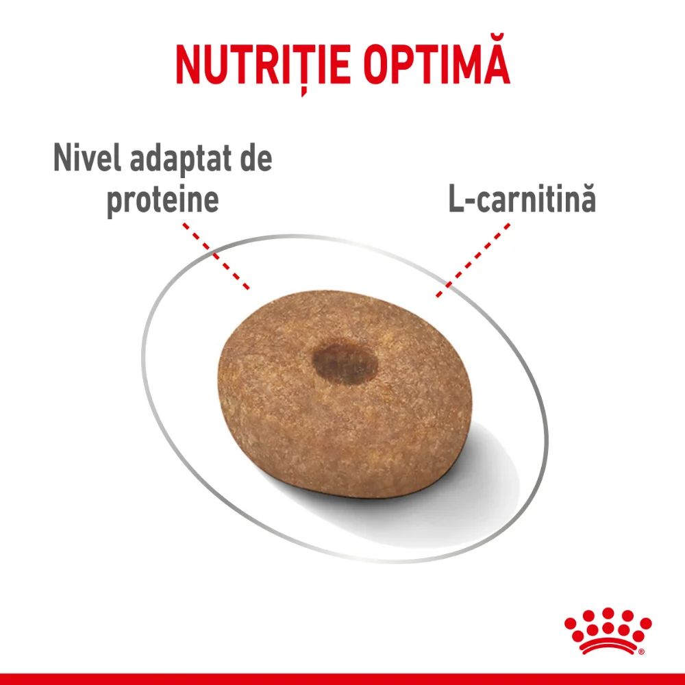 ROYAL CANIN Mini Light Weight Care Adult, hrană uscată câine, limitarea creșterii în greutate, 1kg [4]