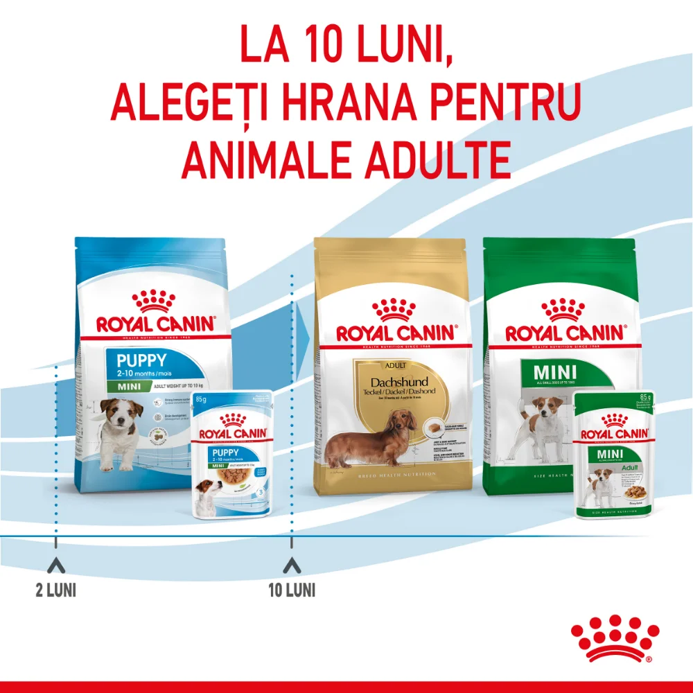 ROYAL CANIN Mini Puppy, hrană umedă câine junior (în sos), 12x85g [11]