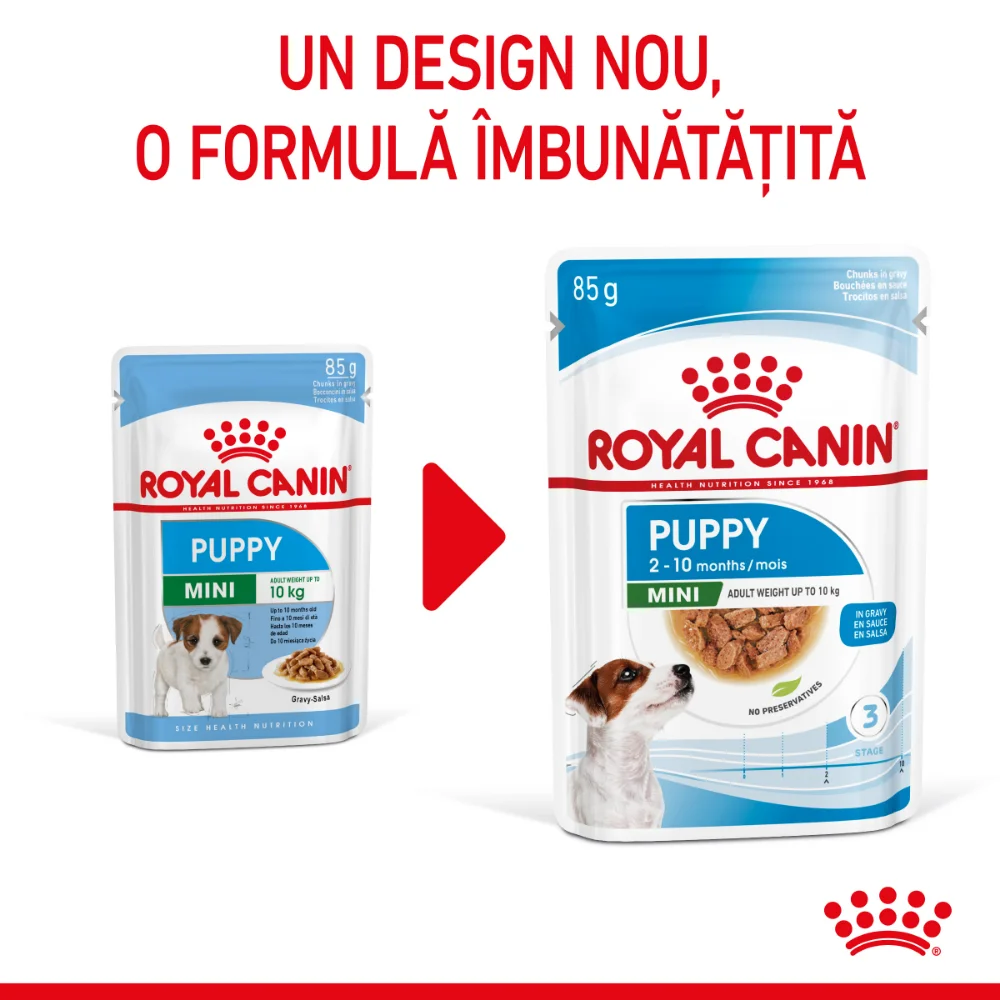 ROYAL CANIN Mini Puppy, hrană umedă câine junior (în sos), 12x85g [4]