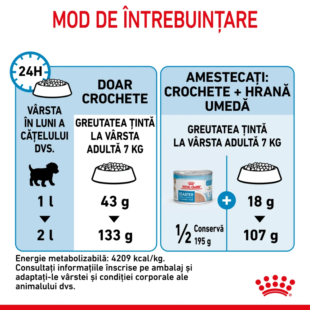 ROYAL CANIN Mini Starter Mother & Babydog, mama si puiul, hrană uscată câine junior, 8kg [9]
