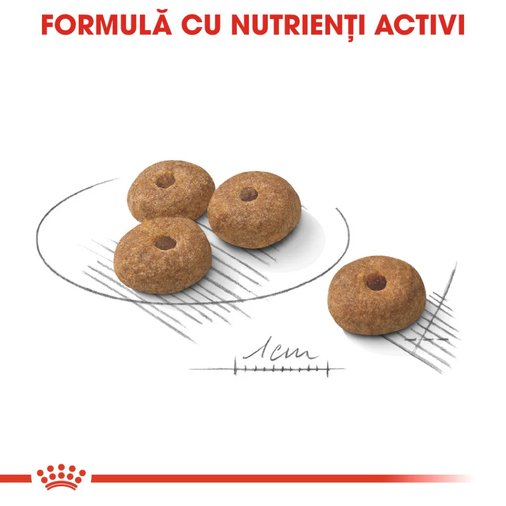 ROYAL CANIN Mini Sterilised Adult, hrană uscată câine sterilizat, 1kg [5]