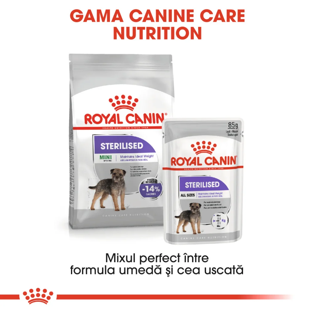 ROYAL CANIN Mini Sterilised Adult, hrană uscată câine sterilizat, 3kg [9]