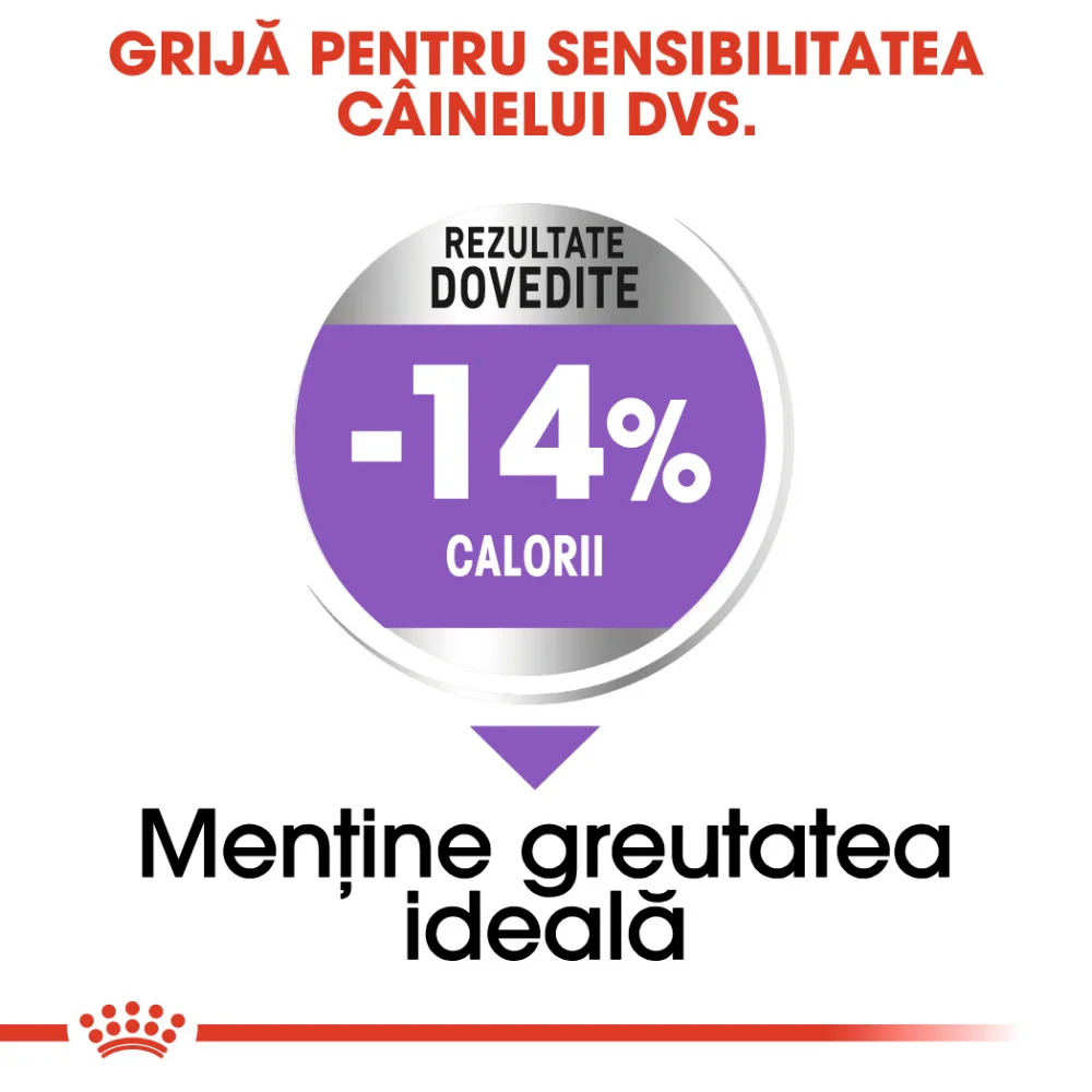 ROYAL CANIN Mini Sterilised Adult, hrană uscată câine sterilizat, 3kg [4]