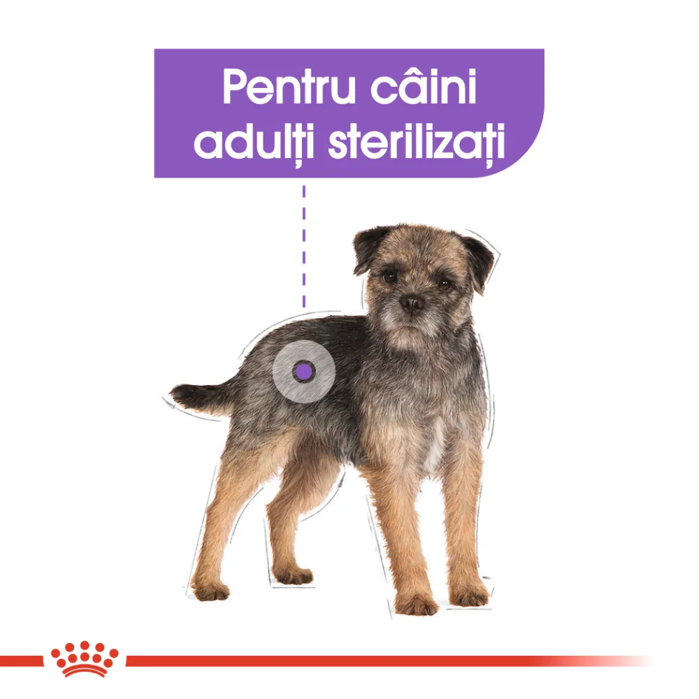 ROYAL CANIN Mini Sterilised Adult, hrană uscată câine sterilizat, 3kg [6]